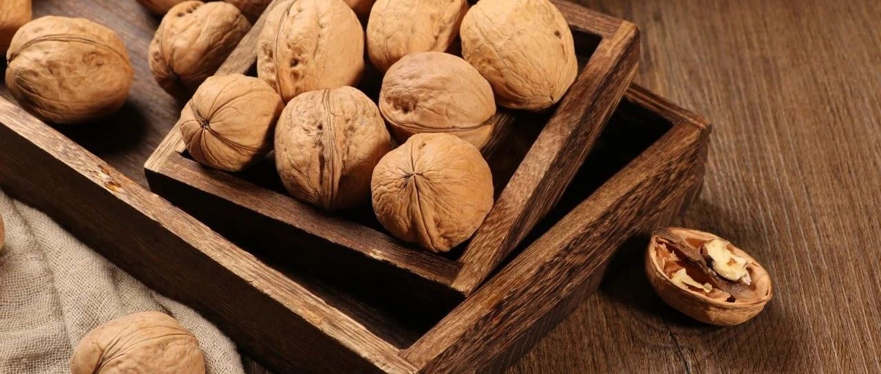 2024 SIAL CUP 咖啡師全能賽圓滿收官！冠亞季軍揭曉！