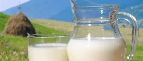 乳業(yè)透視：分化陣痛中轉(zhuǎn)型，價(jià)值升維里突圍