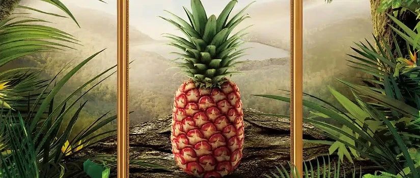 荒誕即商機：奇葩食品背后的底層邏輯