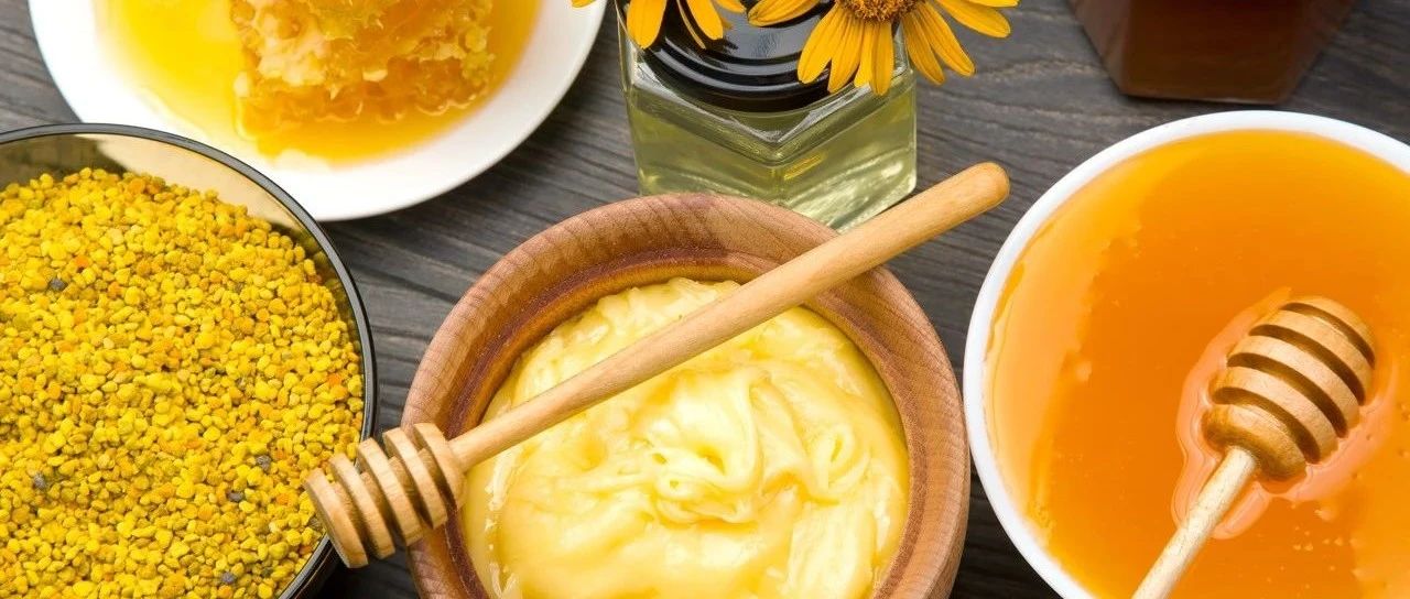 健康食品展商名錄首發(fā)！功能性、創(chuàng)新營養(yǎng)、有機天然，森蜂園、艾華生物等“硬核實力”搶先看！