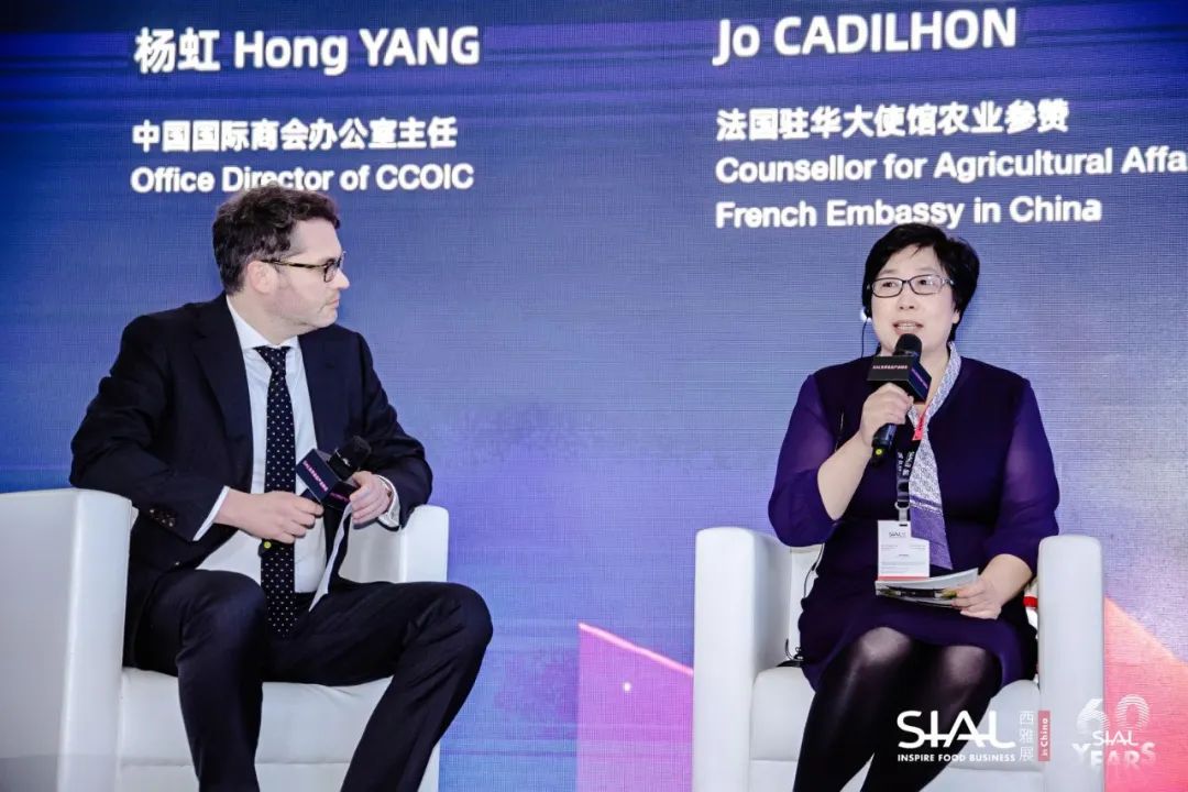 中國國際商會(huì)辦公室主任楊虹