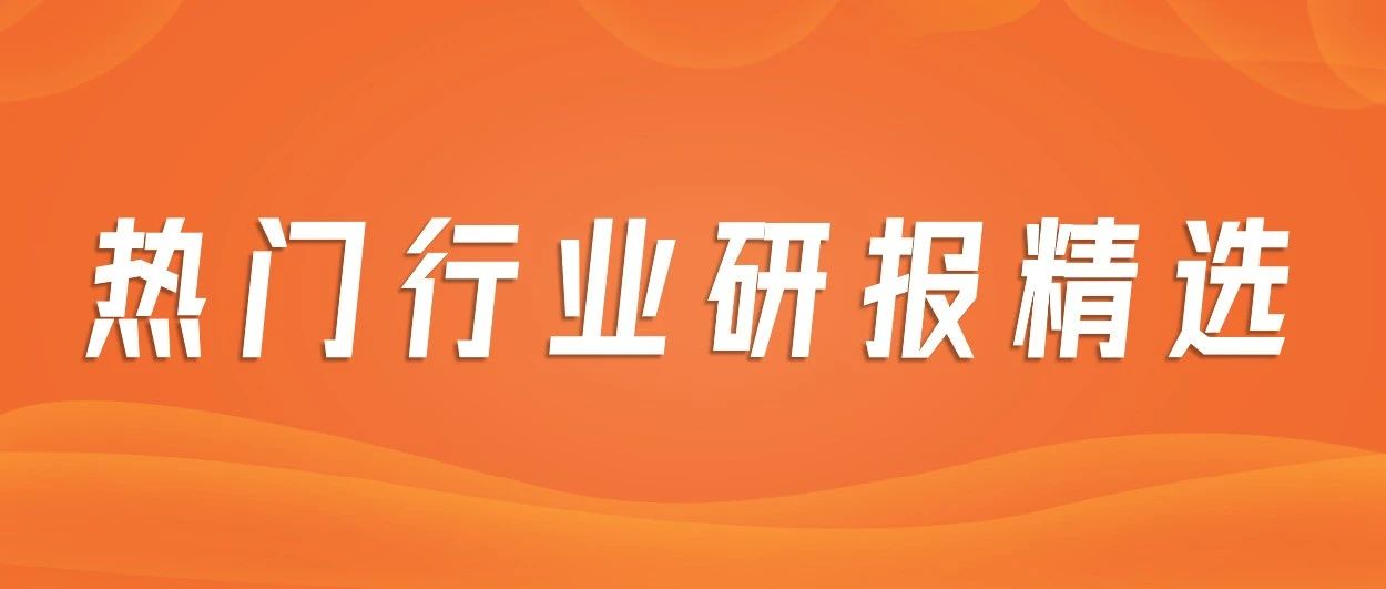 2026年中國(guó)保健食品行業(yè)市場(chǎng)前景預(yù)測(cè)研究報(bào)告