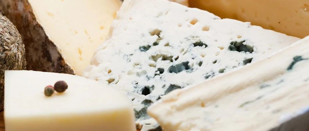 在社媒越來越火的奶酪，未來還能走多遠